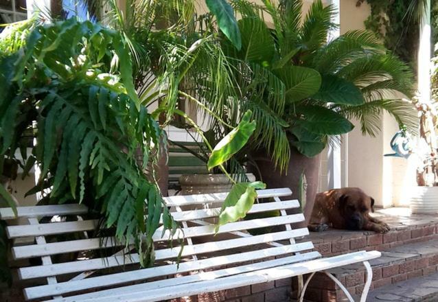 Mavilla Stellenbosch B&B エクステリア 写真